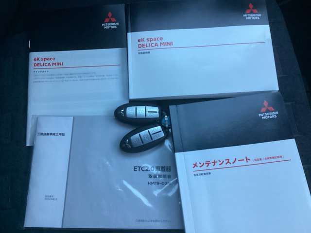 MITSUBISHI DELICA MINI 2024