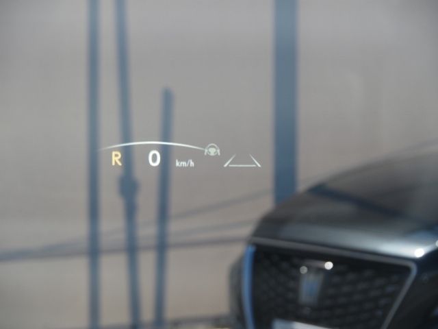 TOYOTA ???? LM500h 2024