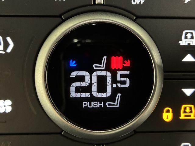 ROVER ROVER DEFENDER 2024