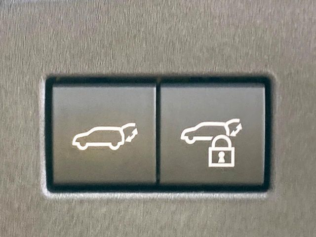 TOYOTA LANDCRUISER 250 2024