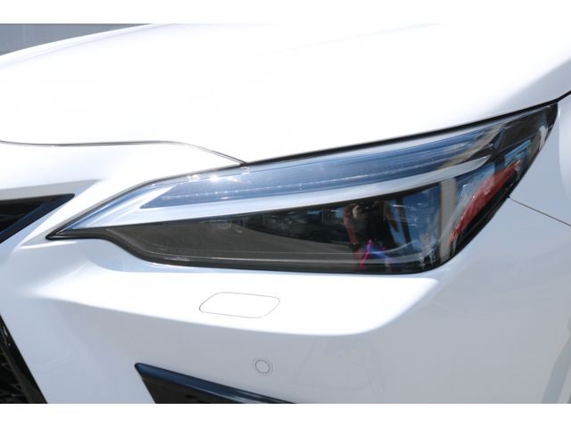 TOYOTA LEXUS NX350h 2023