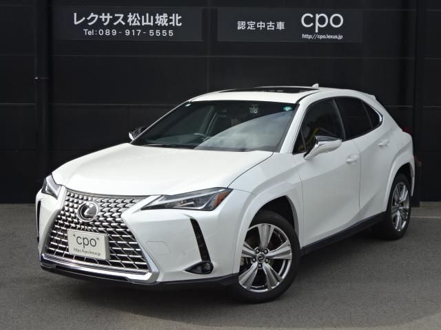 TOYOTA LEXUS UX250h 2023