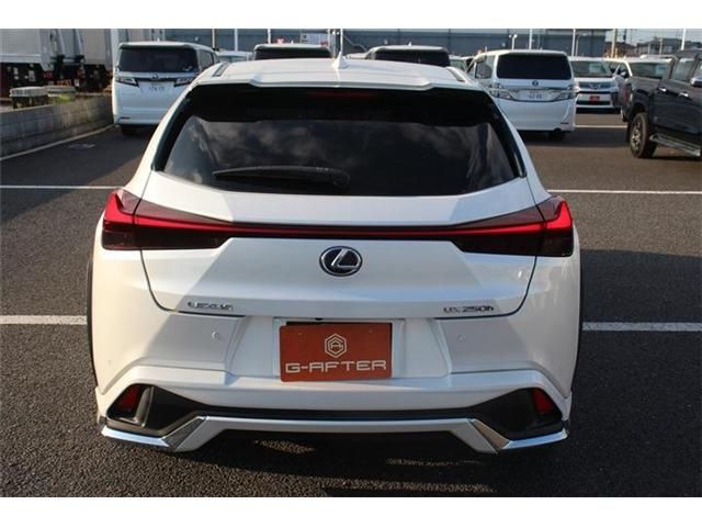 TOYOTA LEXUS UX250h 2020