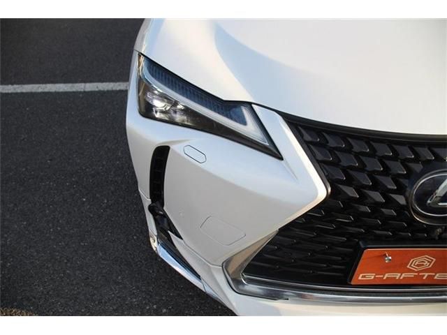 TOYOTA LEXUS UX250h 2020