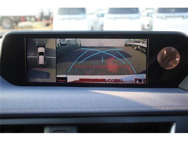 TOYOTA LEXUS UX250h 2020