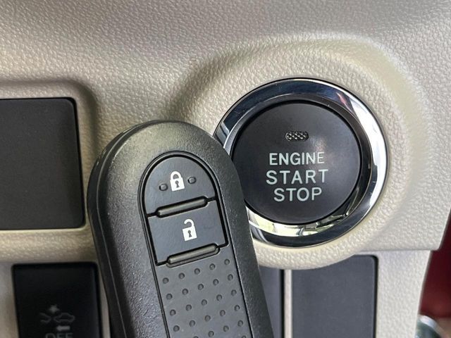 DAIHATSU CAST STYLE 2017