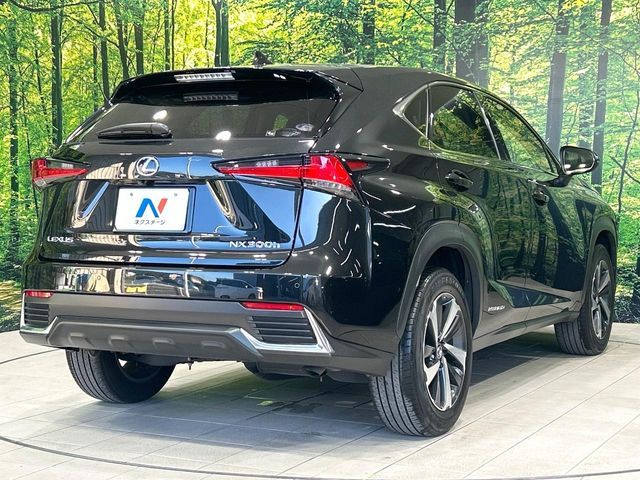TOYOTA LEXUS NX300h 2018