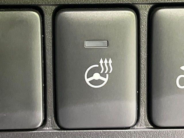 MITSUBISHI DELICA D:5 4WD 2024