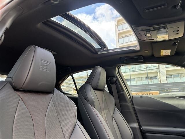 TOYOTA LEXUS UX250h 2023