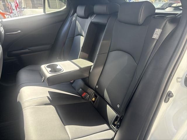 TOYOTA LEXUS UX250h 2023