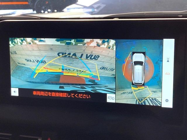 TOYOTA LANDCRUISER 250 2024