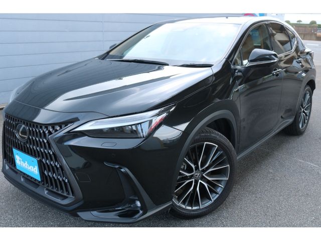 TOYOTA LEXUS NX250 2023