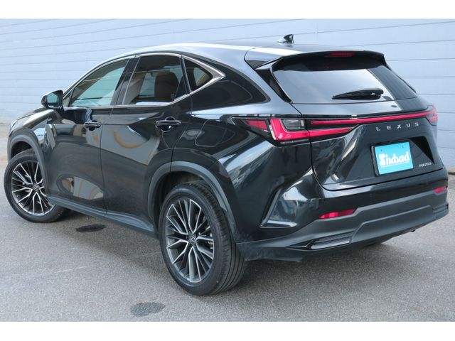 TOYOTA LEXUS NX250 2023