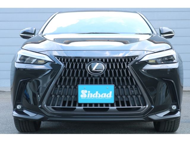 TOYOTA LEXUS NX250 2023