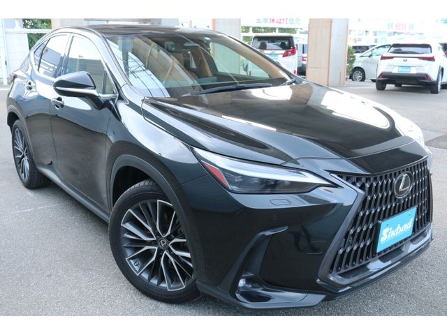 TOYOTA LEXUS NX250 2023