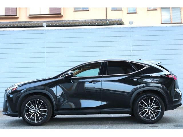 TOYOTA LEXUS NX250 2023