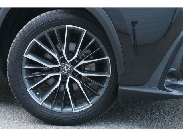 TOYOTA LEXUS NX250 2023