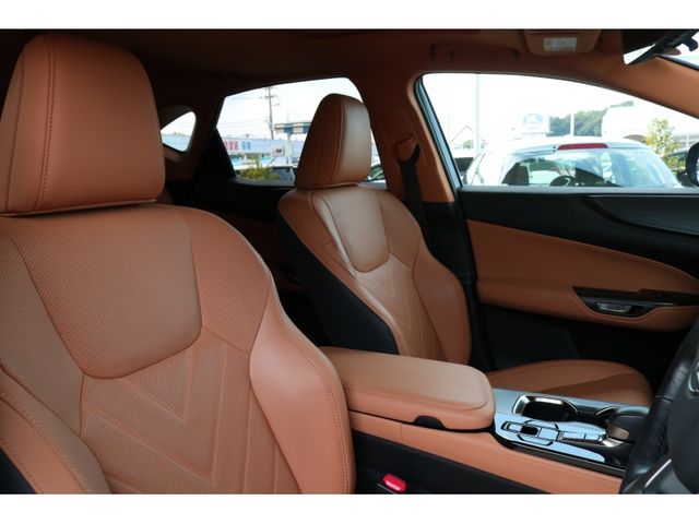 TOYOTA LEXUS NX250 2023