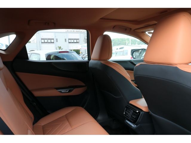 TOYOTA LEXUS NX250 2023