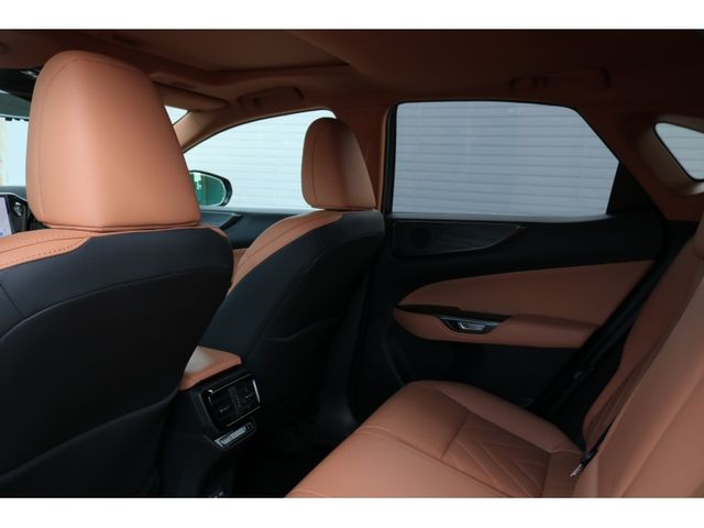 TOYOTA LEXUS NX250 2023