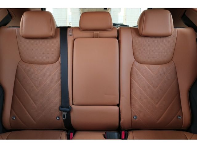 TOYOTA LEXUS NX250 2023