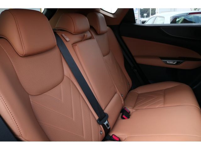 TOYOTA LEXUS NX250 2023