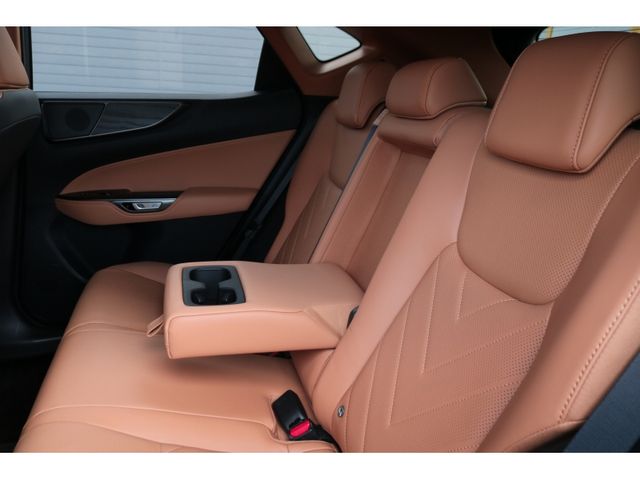 TOYOTA LEXUS NX250 2023