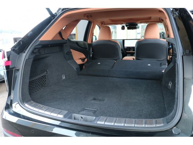 TOYOTA LEXUS NX250 2023