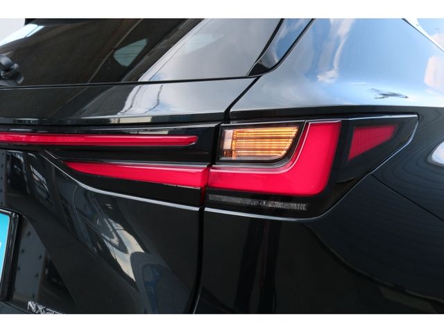 TOYOTA LEXUS NX250 2023