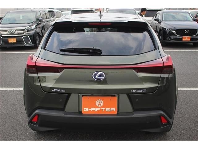 TOYOTA LEXUS UX250h 2022