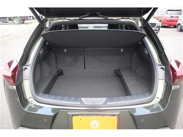 TOYOTA LEXUS UX250h 2022