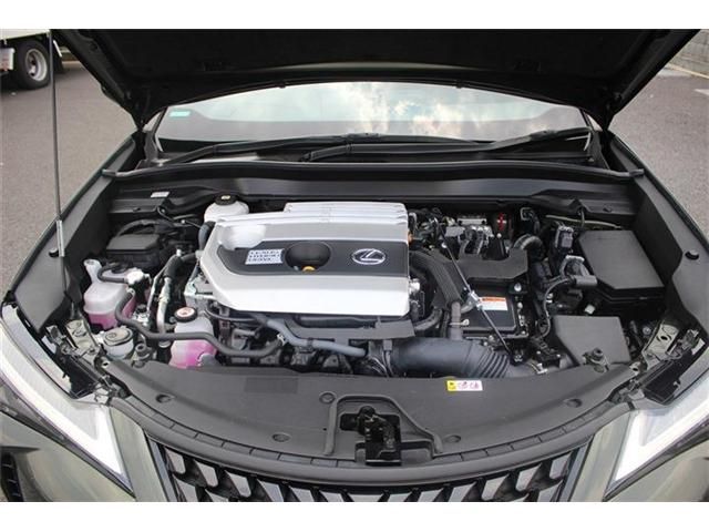 TOYOTA LEXUS UX250h 2022