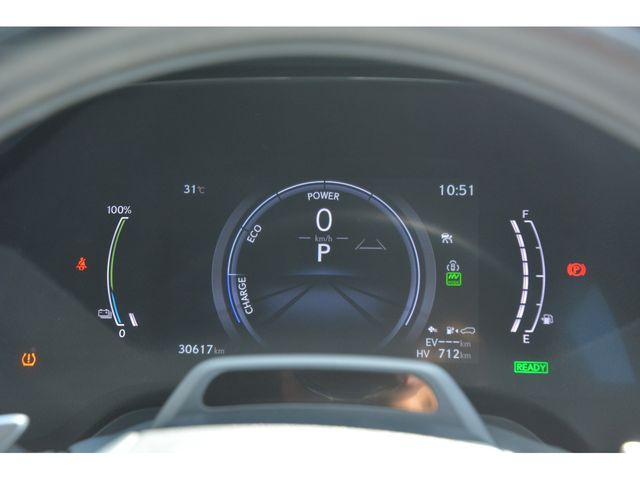 TOYOTA LEXUS RX450h+ 2024