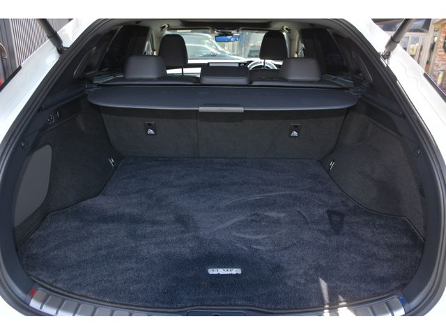 TOYOTA LEXUS RX450h+ 2024