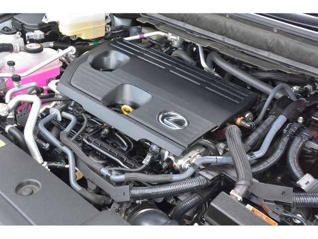 TOYOTA LEXUS RX450h+ 2024