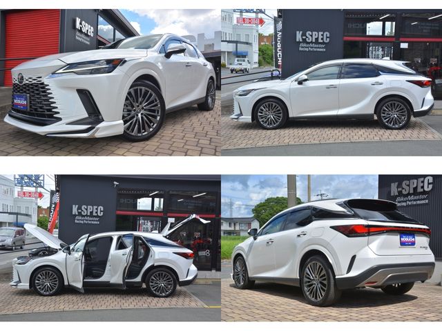 TOYOTA LEXUS RX450h+ 2024