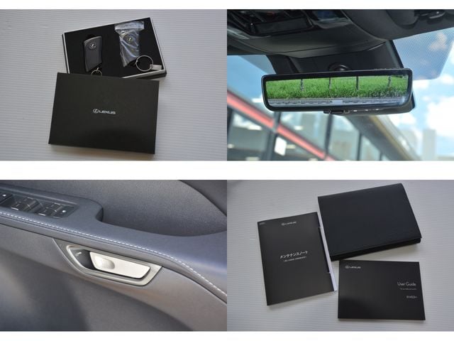 TOYOTA LEXUS RX450h+ 2024