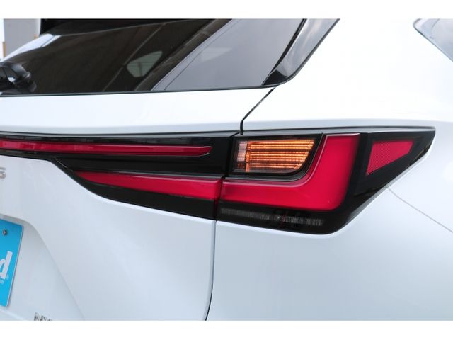 TOYOTA LEXUS NX350h 2023