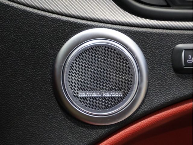 ALFAROMEO ALFAROMEO STELVIO 2021