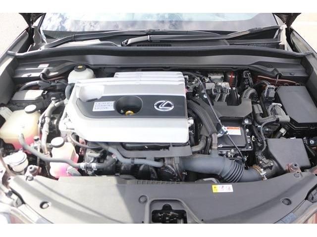 TOYOTA LEXUS UX250h 2019