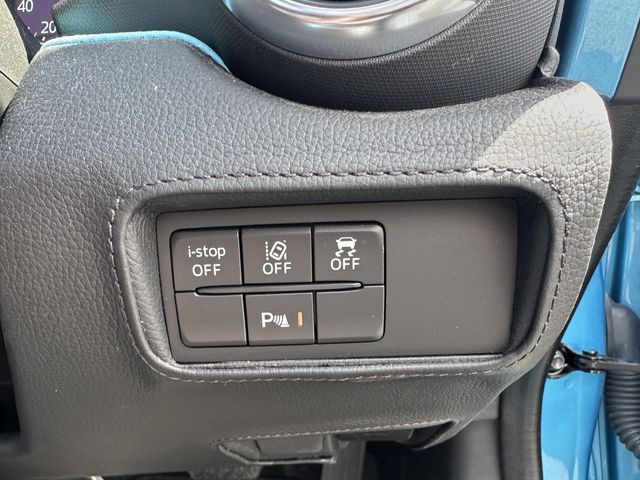 MITSUOKA Rock Star 2021