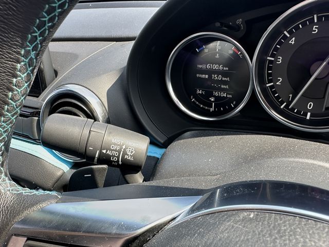 MITSUOKA Rock Star 2021