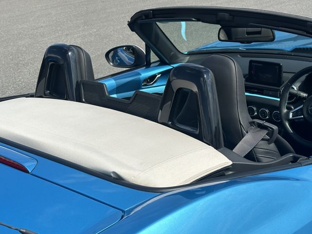 MITSUOKA Rock Star 2021