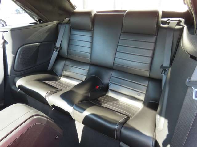 FORD FORD MUSTANG open 2010