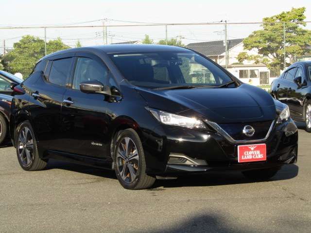 NISSAN LEAF 2019