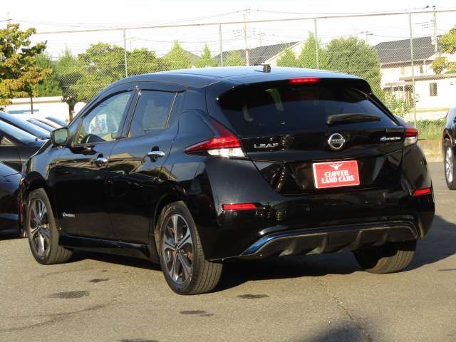 NISSAN LEAF 2019