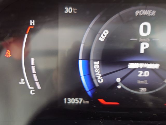 TOYOTA LEXUS RX500h 2023