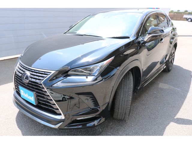 TOYOTA LEXUS NX300h 2018
