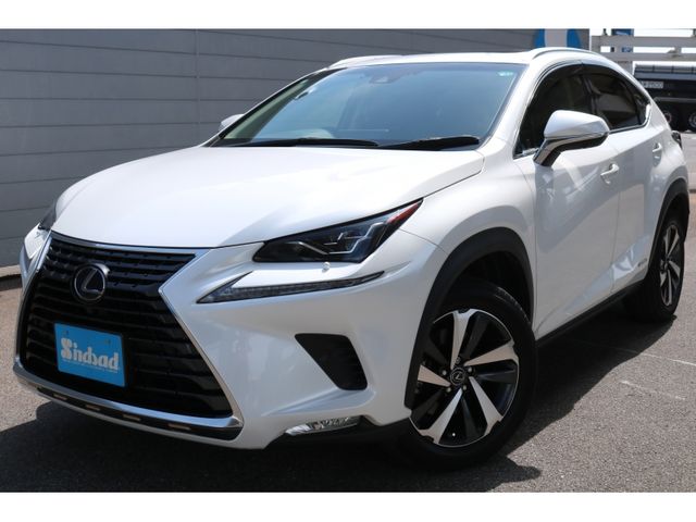 TOYOTA LEXUS NX300h 2018