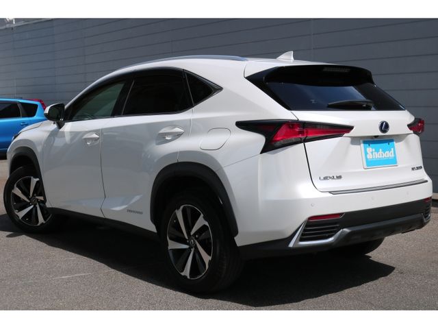TOYOTA LEXUS NX300h 2018